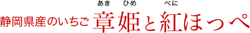 静岡県産のいちご 章姫と紅ほっぺ